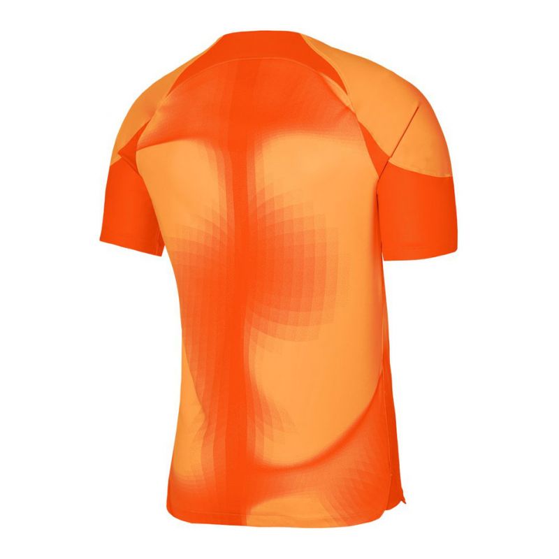 Nike Dri-FIT ADV Gardien 4 M DH7760-819 goalkeeper jersey Clothing/Football Nike