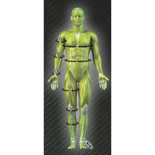 SELECT KNEE SUPPORT 6210 with Memory Foam In preparation Your Sports Performance