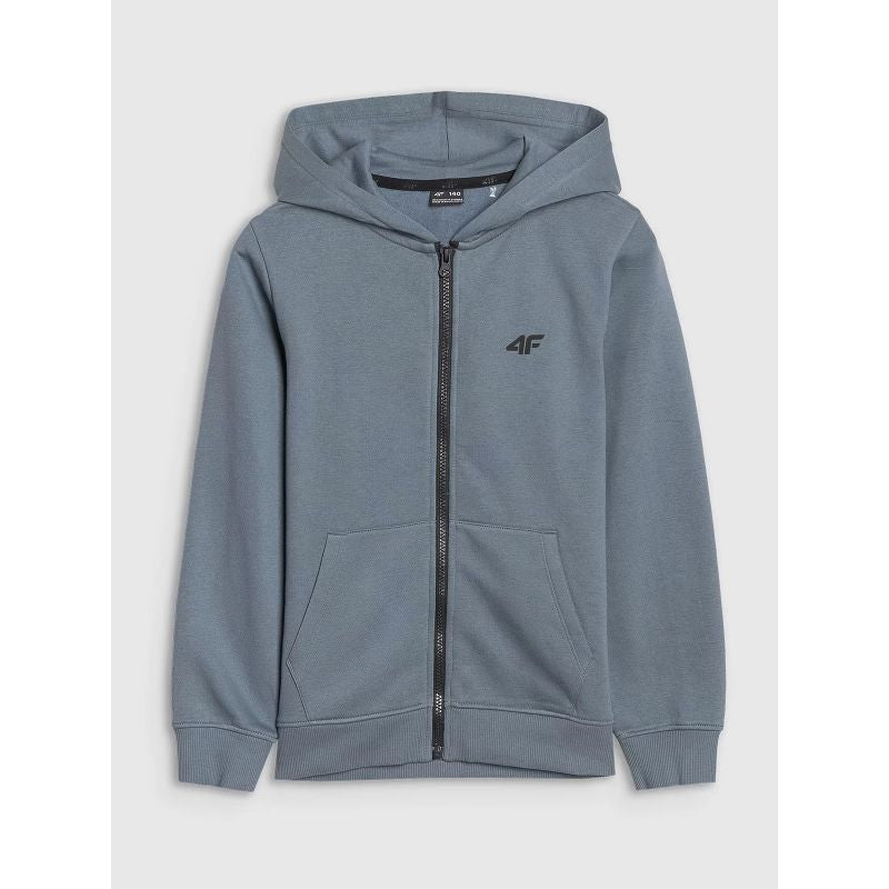 Boy's zip-up sweatshirt with hood 4F 4FJWSS25TSWSM1714-46S *Kategoria tymczasowa Your Sports Performance