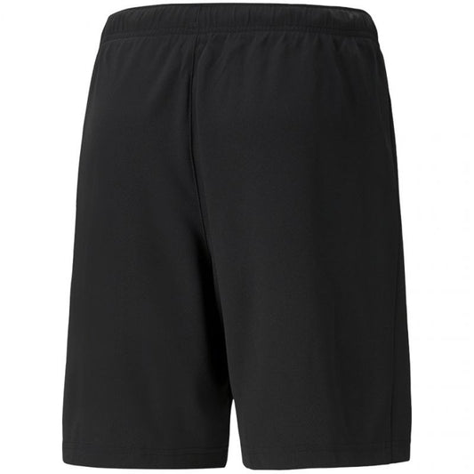 Puma teamRISE Short M 704942 04 Clothing/Running Puma