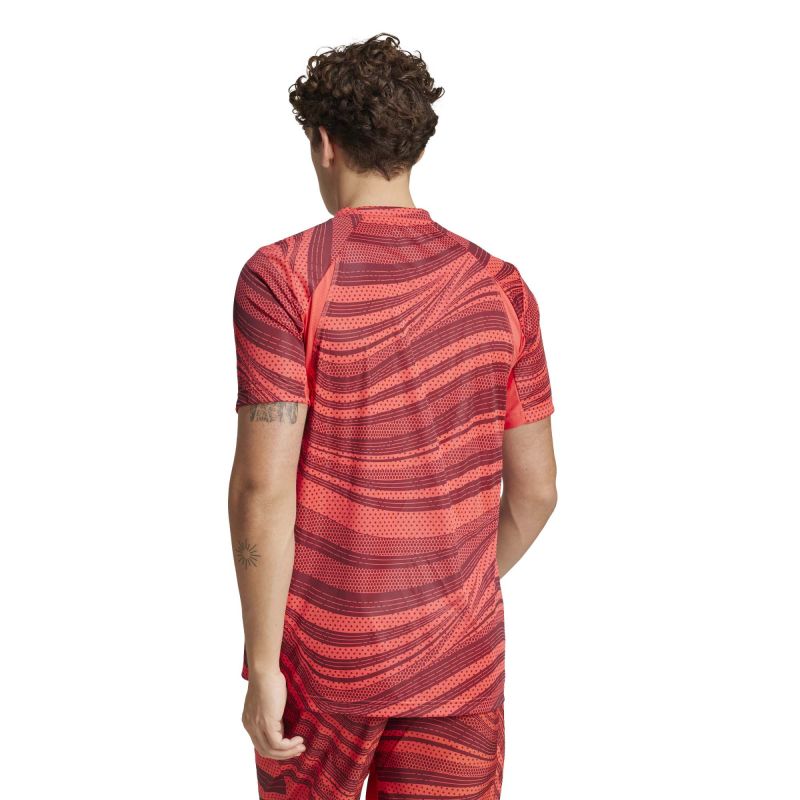 adidas Club Graph Tee M JE0407 adidas