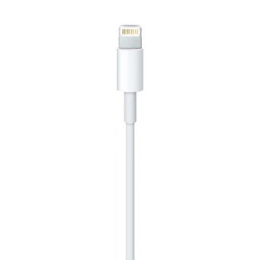 Lightning to USB Cable (0.5 m) In preparation Your Sports Performance