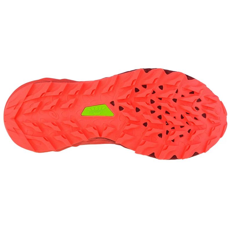 Asics Gel-Trabuco 9 G-TX W 1012A900-003 shoes Footwear/Running/Women Your Sports Performance