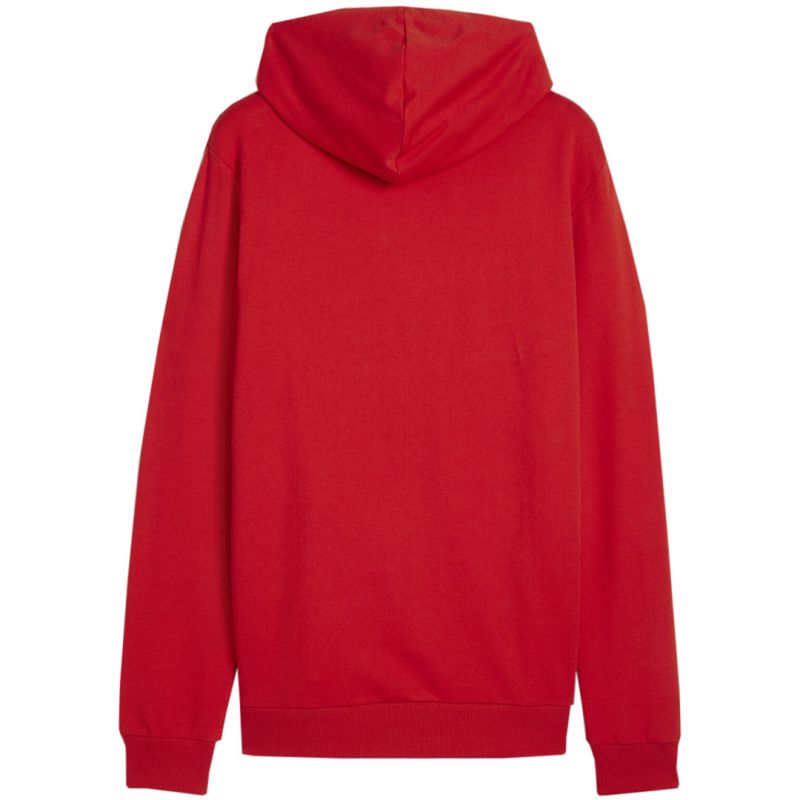 Puma Team Goal Casuals Hoody M 658618 01 Clothing/Training Puma