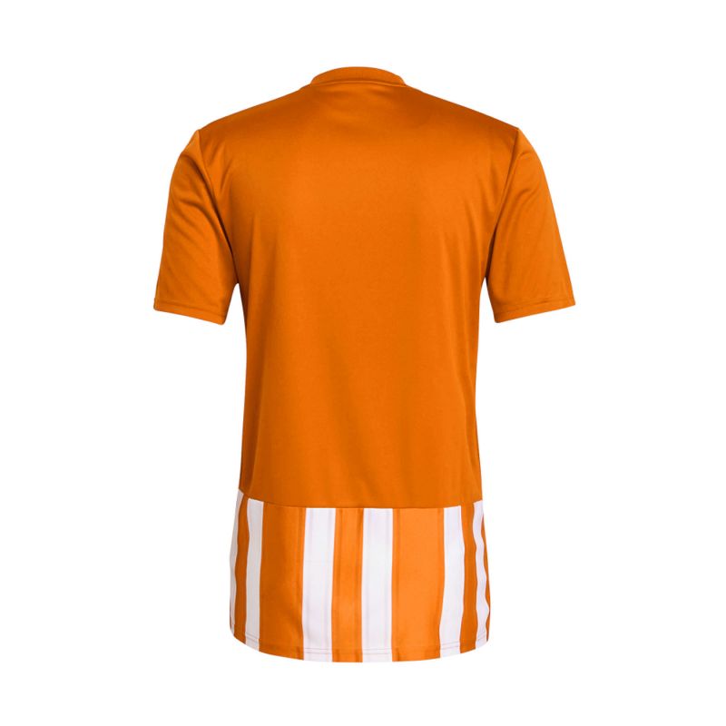 Adidas Striped 21 M Tee H35642 Clothing/Football Adidas