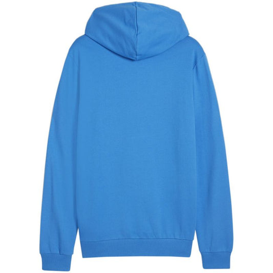 Puma Team Goal Casuals Hooded M 658595 02 sweatshirt Clothing/Football Puma