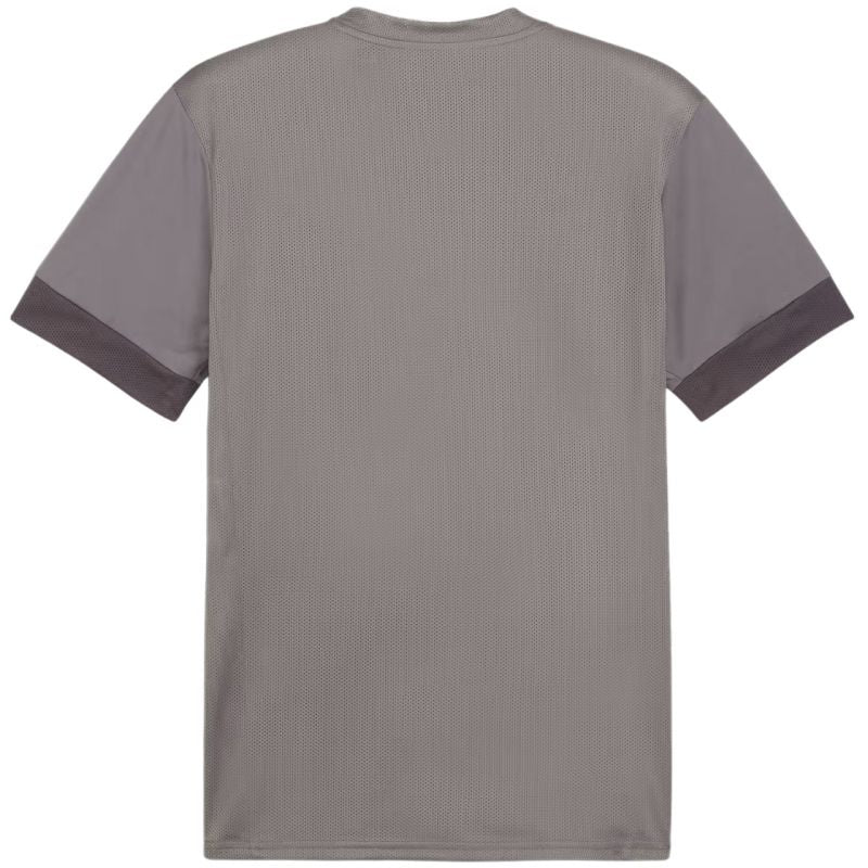 Puma teamGoal Matchday Jersey M 705747 13 Clothing/Football Your Sports Performance