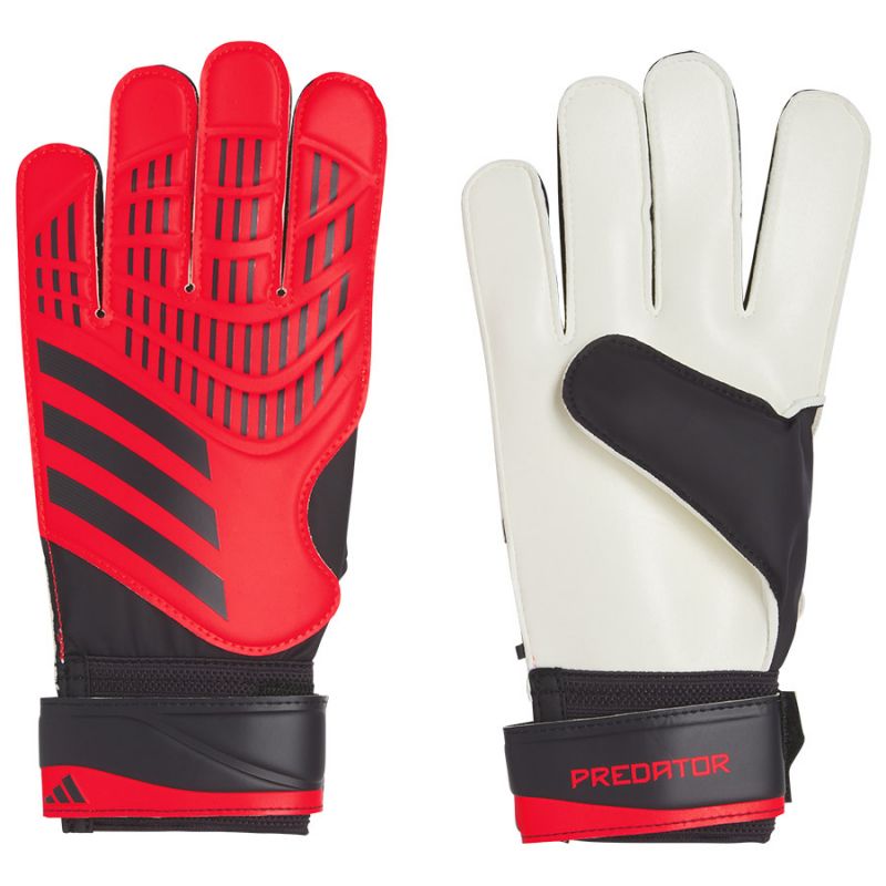 Adidas Predator TRN Gloves IX3871 Accessories/Gloves Adidas