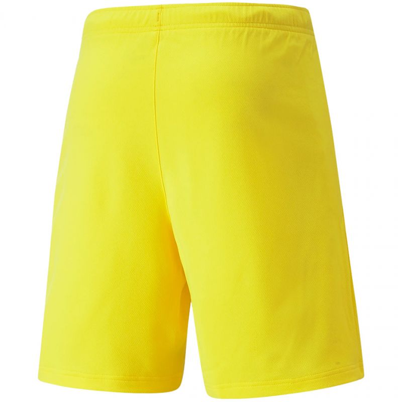 Puma teamRISE Cyber M 704942 07 shorts Clothing/Running Puma