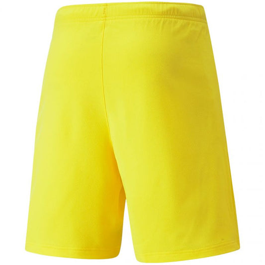 Puma teamRISE Cyber M 704942 07 shorts Clothing/Running Puma