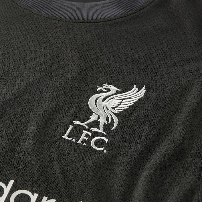 Nike Liverpool FC Stadium Away 2024/25 Shirt FN8780-322 In preparation Nike