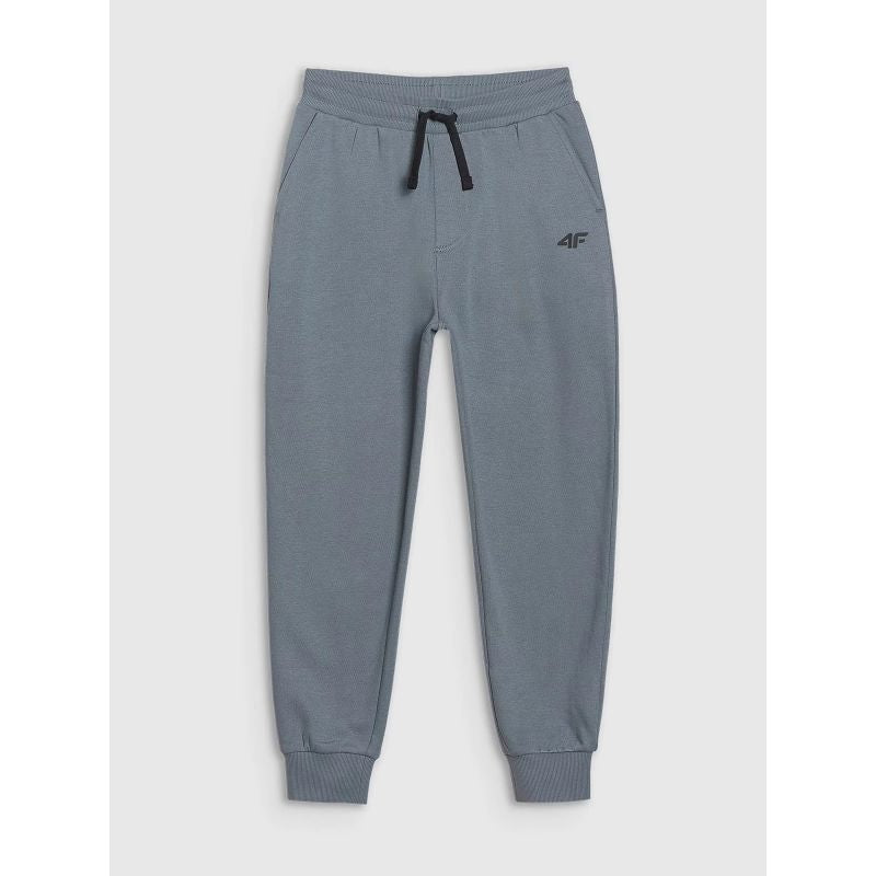 Boys' joggers sweatpants 4F 4FJWSS25TTROM1112-46S *Kategoria tymczasowa Your Sports Performance