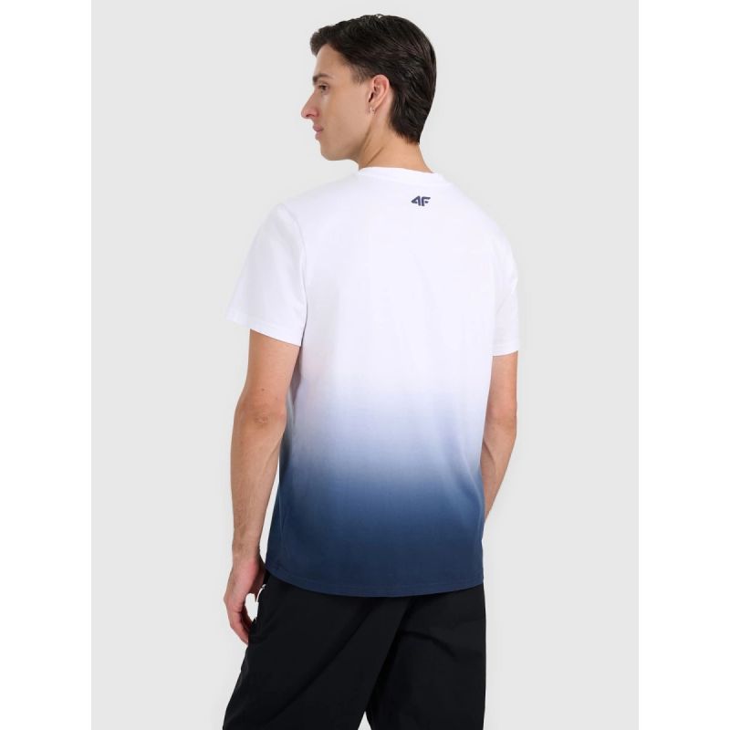 Men's regular printed T-shirt 4F 4FRAW25TTSHM3226-31S 4f