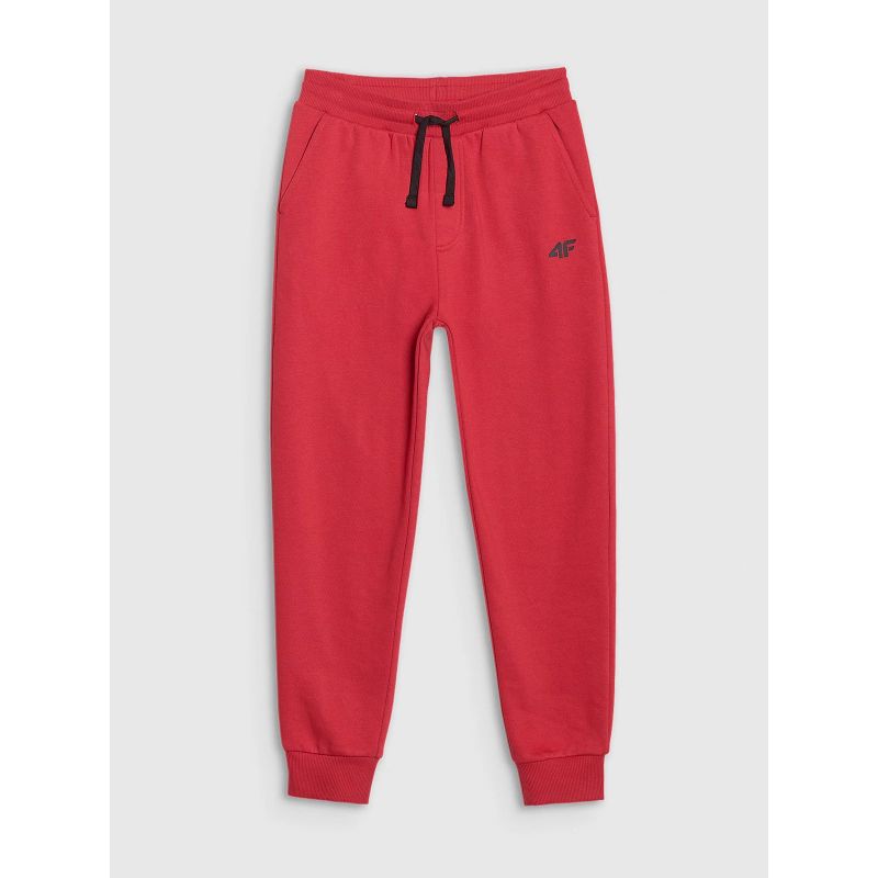 Boys' joggers sweatpants 4F 4FJWSS25TTROM1112-62S *Kategoria tymczasowa Your Sports Performance