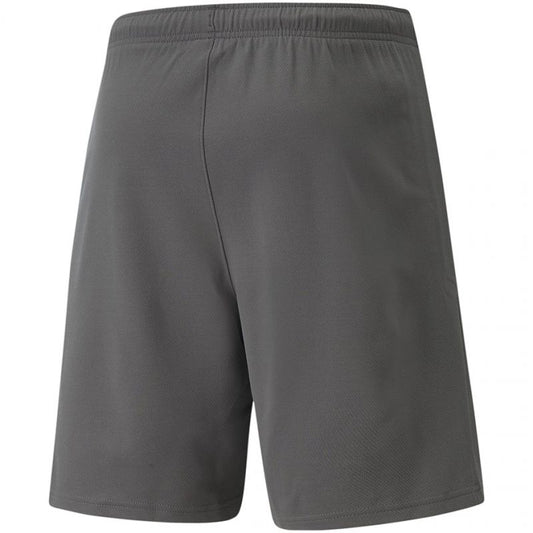 Puma teamRise Short M 704942 13 Clothing/Training Puma