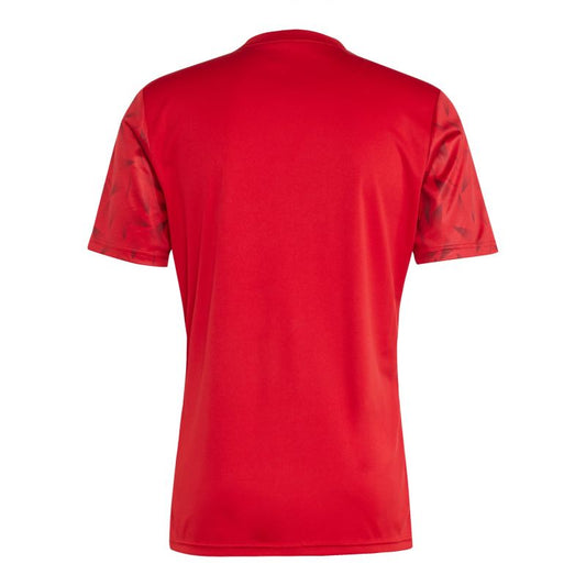 adidas Team Icon 25 M T-shirt JM8360 Clothing/Football Adidas