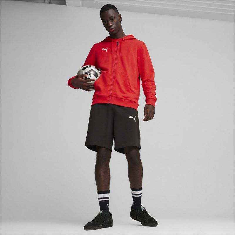 Puma Team Goal Casuals Hooded M 658595 01 sweatshirt Clothing/Football Puma