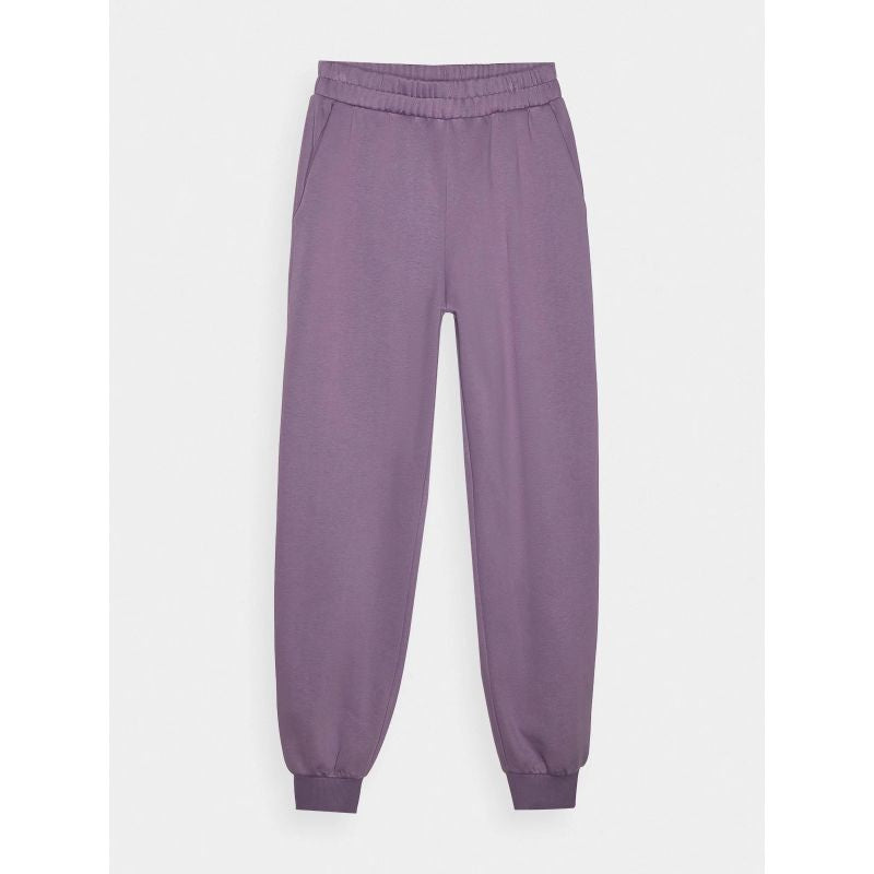 Women's jogger sweatpants 4F 4FRAW24TTROF1151-50S *Kategoria tymczasowa Your Sports Performance