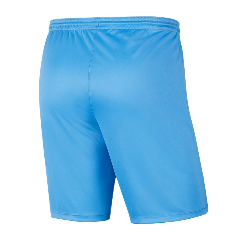 Nike Park III Knit Jr BV6865-412 Shorts Nike