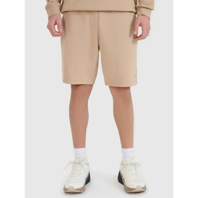 Shorts 4F M 4FWSS25TSHOM571-83S Clothing/Lifestyle/Trousers, shorts/4F 4F