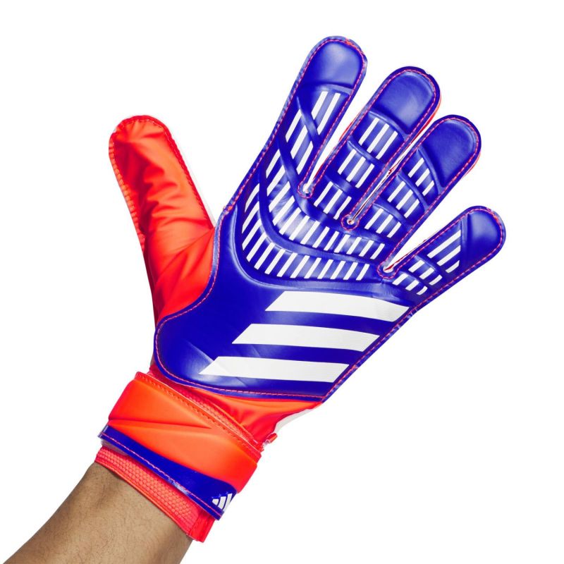 Adidas Predator Training IX3870 goalkeeper gloves Accessories/Gloves Adidas