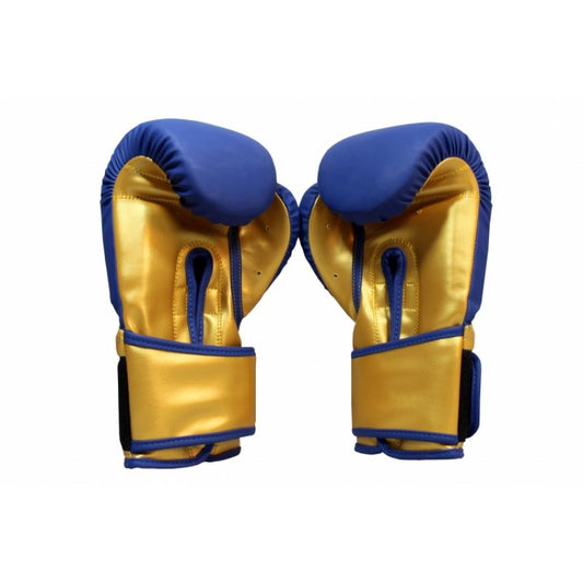 Masters Boxing Gloves RPU-COLOR/GOLD 10 oz 01439-0210 Accessories/Gloves Your Sports Performance