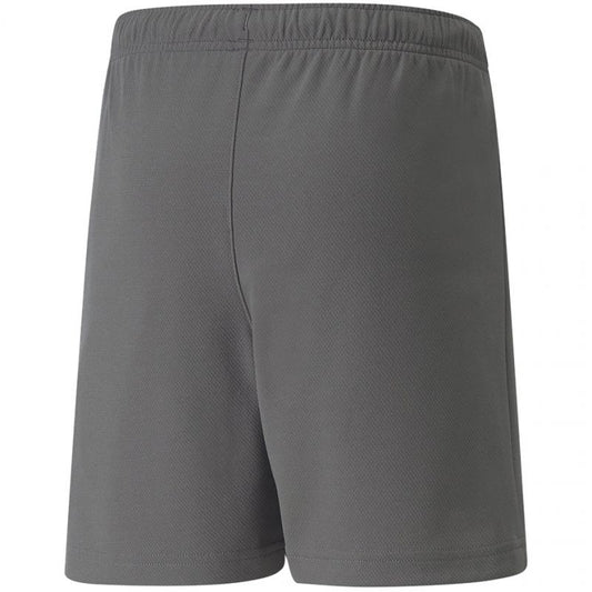 Puma teamRise Short Jr 704943 13 Clothing/Training Puma
