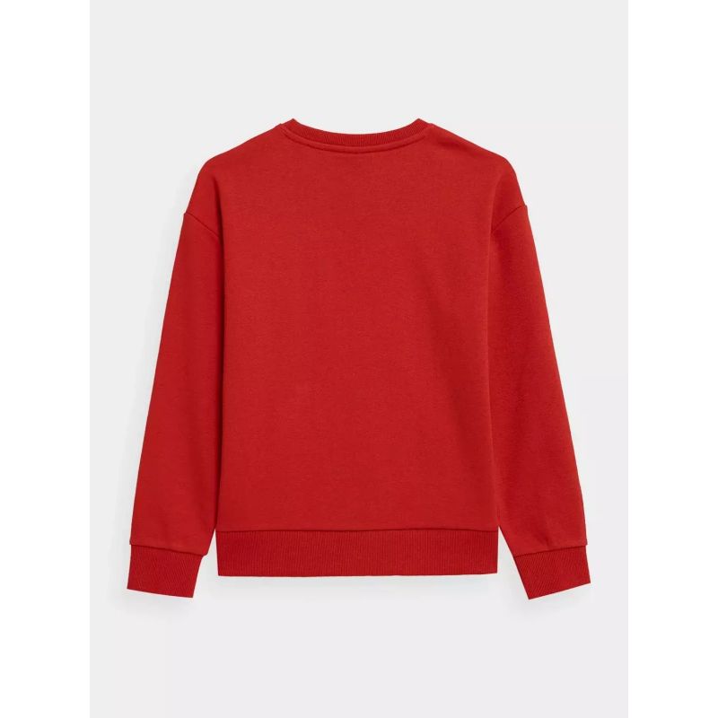 Sweatshirt 4F Jr. 4FJSS23TSWSM222-62S Clothing/Lifestyle/4F 4F