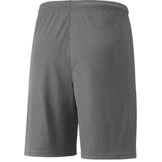 Puma teamLIGA Shorts Jr 704931 13 Clothing/Football Your Sports Performance