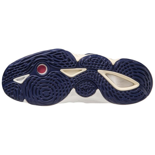 Mizuno Wave Momentum 3 MID M V1GA231743 volleyball shoes Footwear/Volleyball/Men Mizuno