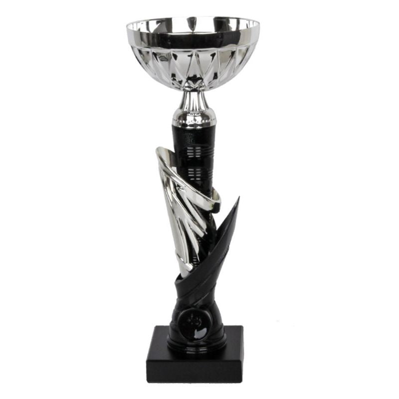 1992 Triumph Cup In preparation Your Sports Performance