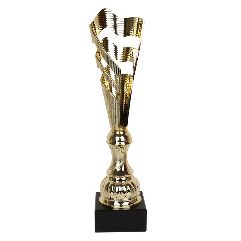 Triumph Cup To be categorized Your Sports Performance