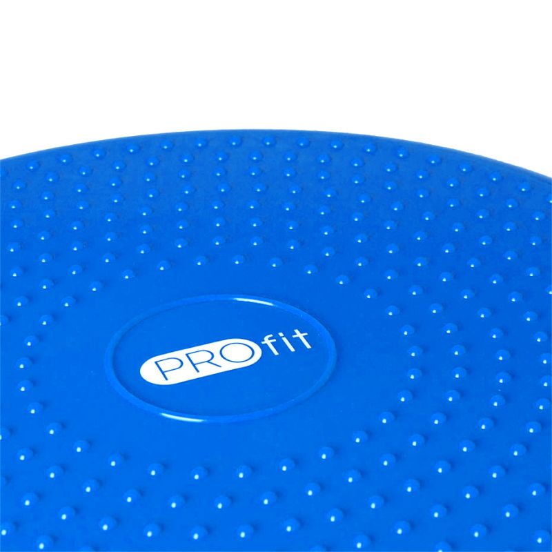 Inflatable disk PROFIT DK 2111 Accessories/Training equipment Your Sports Performance