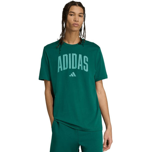 T-shirt adidas Collegiate Lineage Graphic M KA7135 Clothing/Lifestyle/T-shirts Adidas