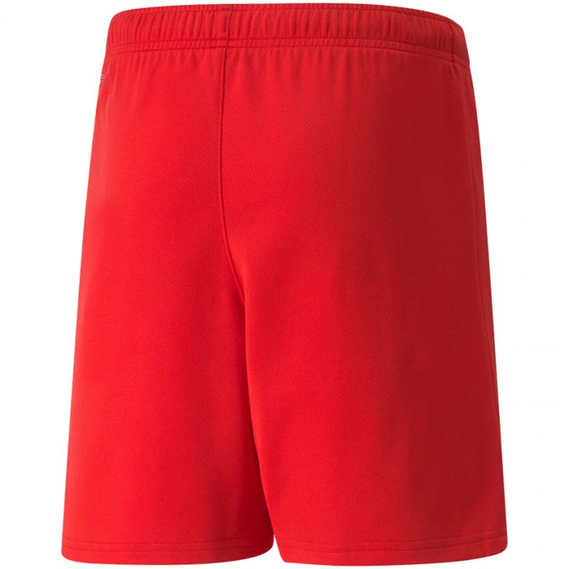 Puma teamRISE Short Jr 704943 01 Clothing/Football Puma