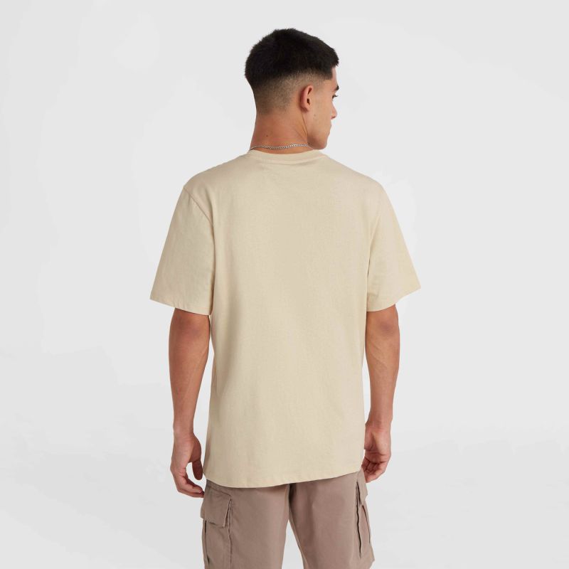 O'Neill Small Logo T-Shirt M 92800613999 ONeill