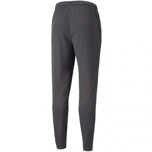 Puma Neymar Jr Futebol Training Pant M 605600 07 Clothing/Football Puma