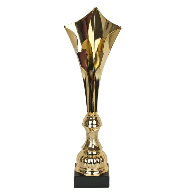 Triumph Cup W2206/G In preparation Your Sports Performance