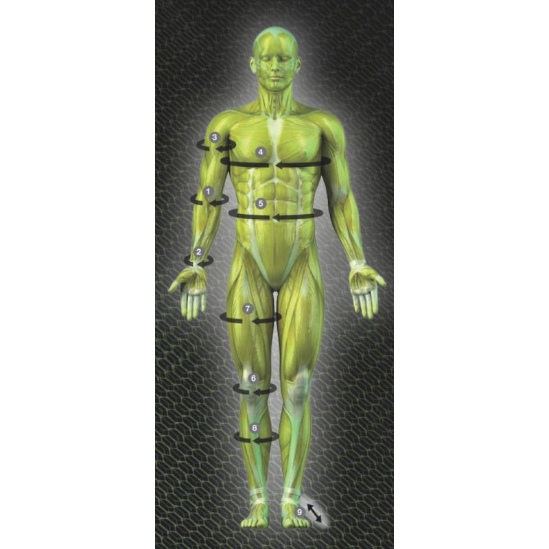 SELECT Compression Elbow Protector 6651 Amortec - Youth In preparation Your Sports Performance