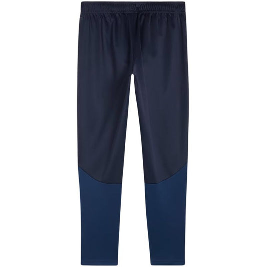 Puma Team Goal Training Pants M 658639 06 Clothing/Training Puma