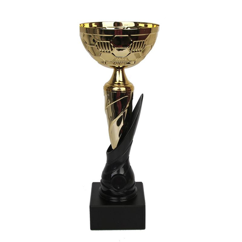 The 1898 Triumph Cup In preparation Your Sports Performance
