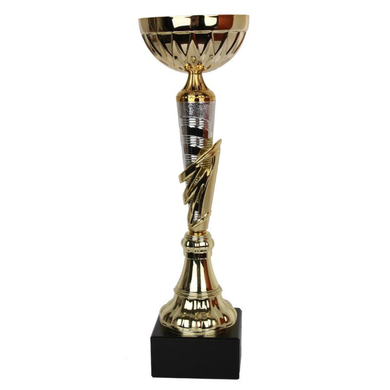 1991 Triumph Cup In preparation Your Sports Performance