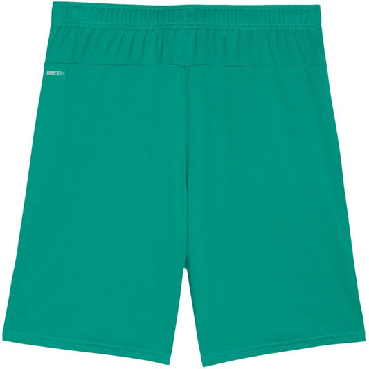 Puma Team Goal men's shorts green 705752 05 In preparation Your Sports Performance