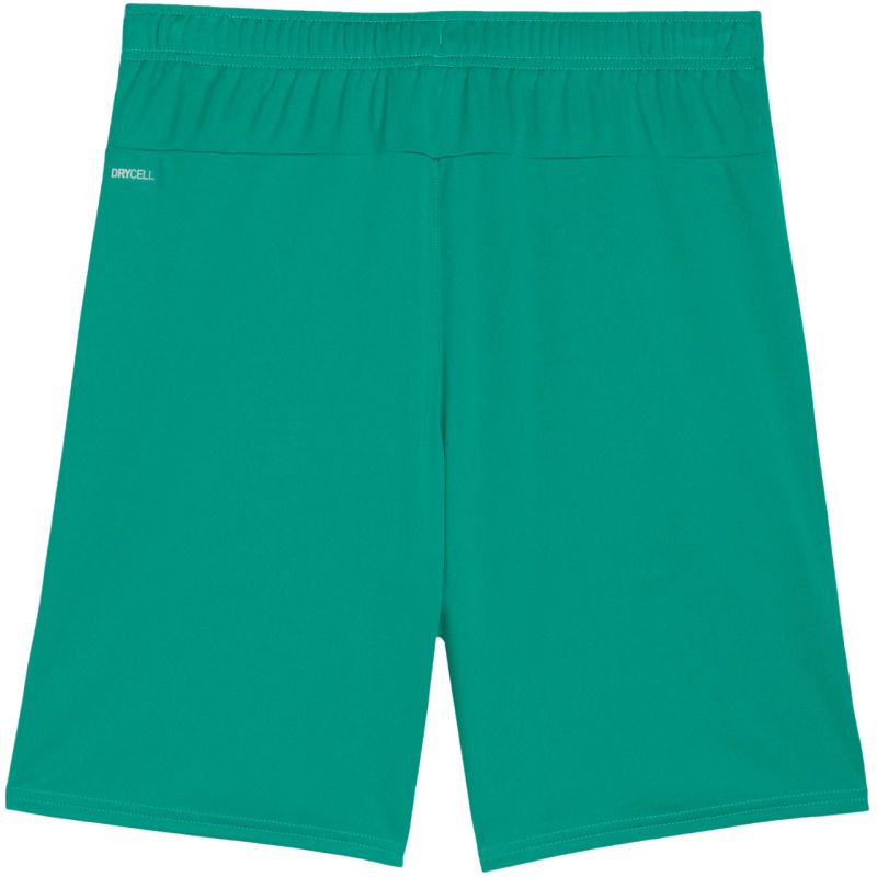 Puma Team Goal men's shorts green 705752 05 In preparation Your Sports Performance