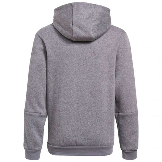 Adidas Tiro 21 Sweat Hoody Jr GP8803 Clothing/Training Adidas
