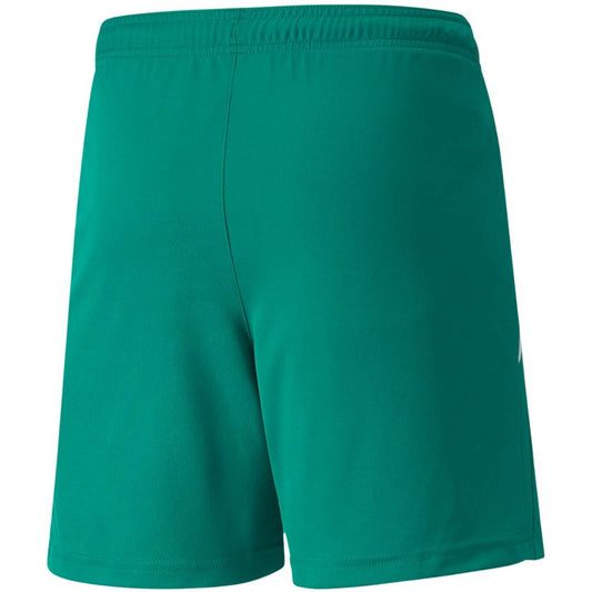 Puma teamLIGA Shorts Jr 704931 05 Clothing/Training Your Sports Performance