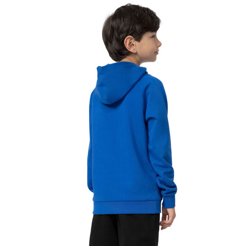 Sweatshirt 4F Jr. 4FJSS23TSWSM220 36S Clothing/Lifestyle/4F 4F
