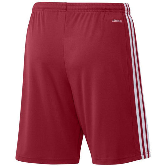Adidas Squadra 21 Short M GN5771 Clothing/Football Adidas