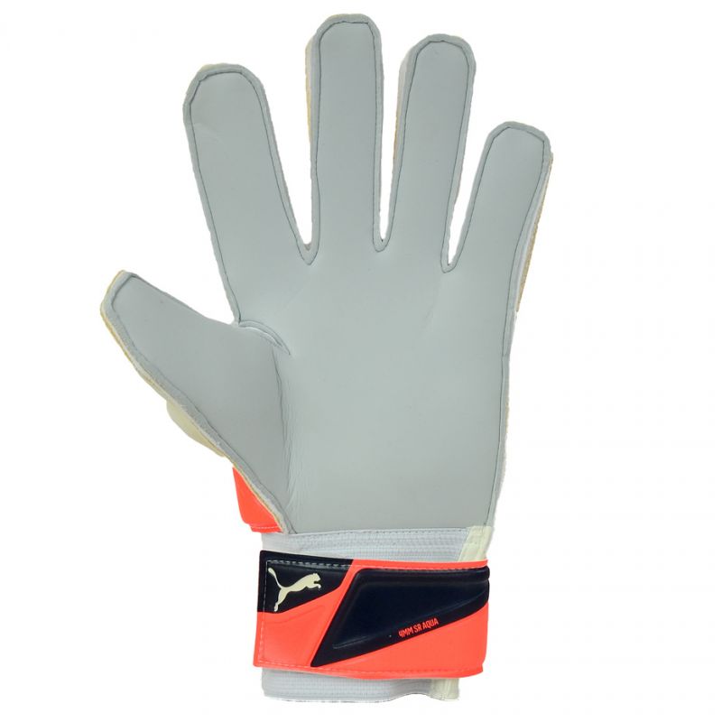 Puma Evo Power Grip 2 Aqua 41145 30 Goalkeeper gloves Accessories/Gloves Puma