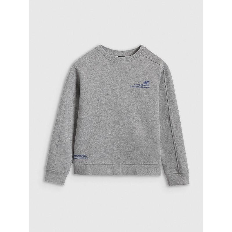 4F JUNIOR sweatshirt 4FJRAW25TSWSM2413-25M *Kategoria tymczasowa Your Sports Performance